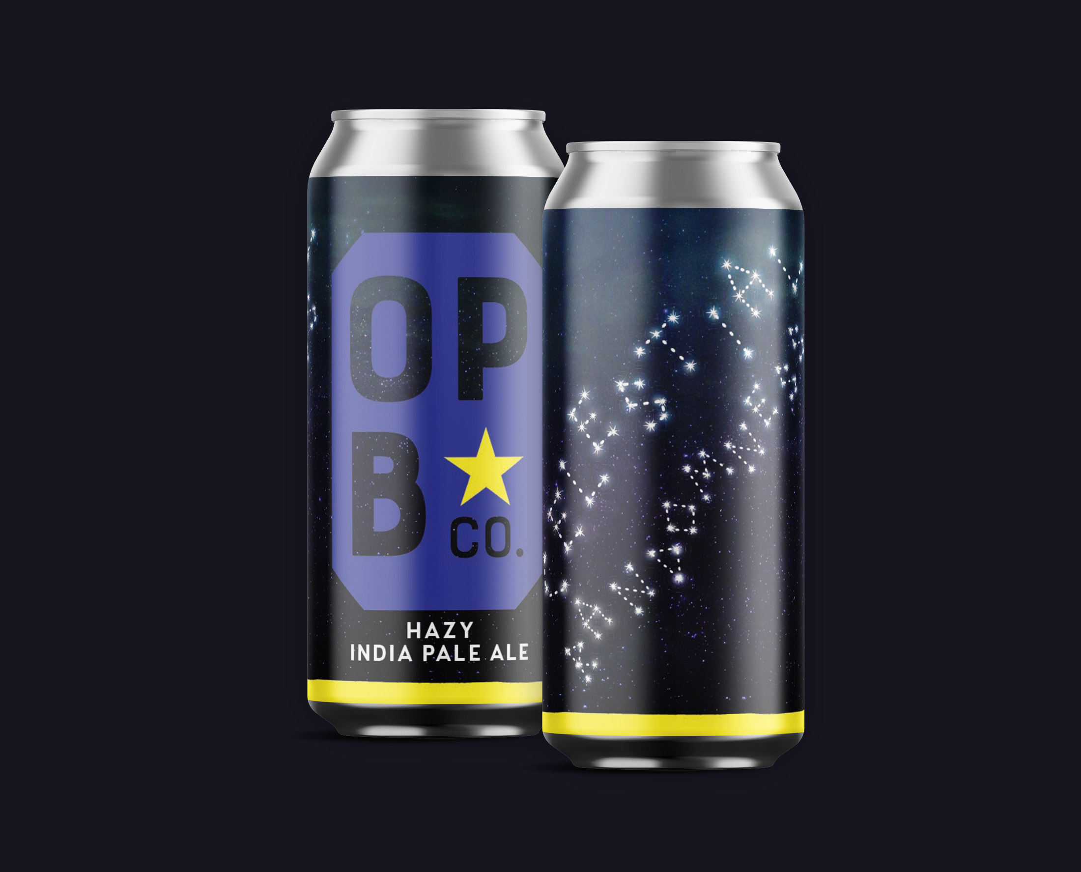 Digital rendering of randomness hazy IPA beer. 2 cans